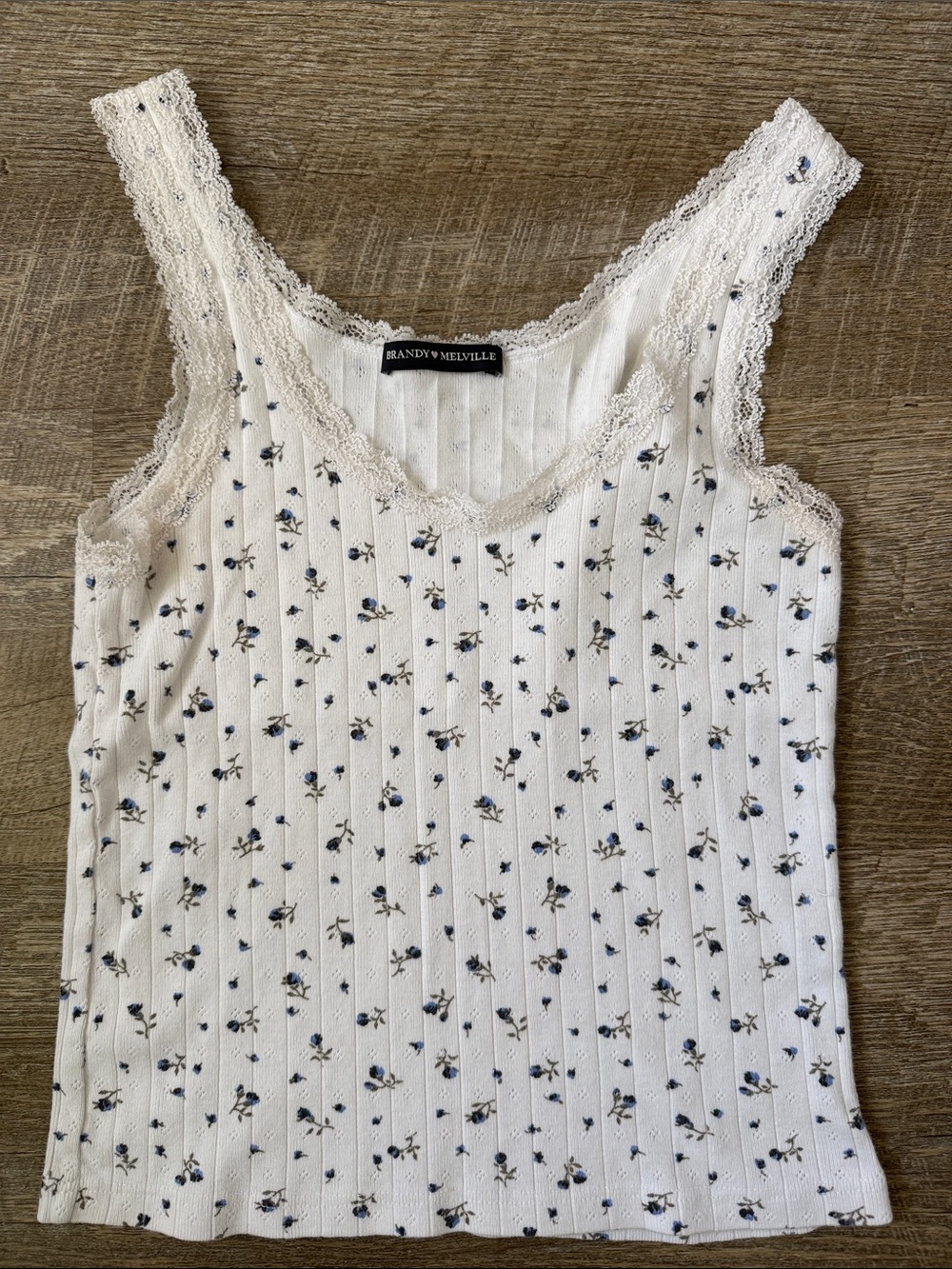 Brandy Melville Ronnie Lace Blue Floral Tank Top One Size
